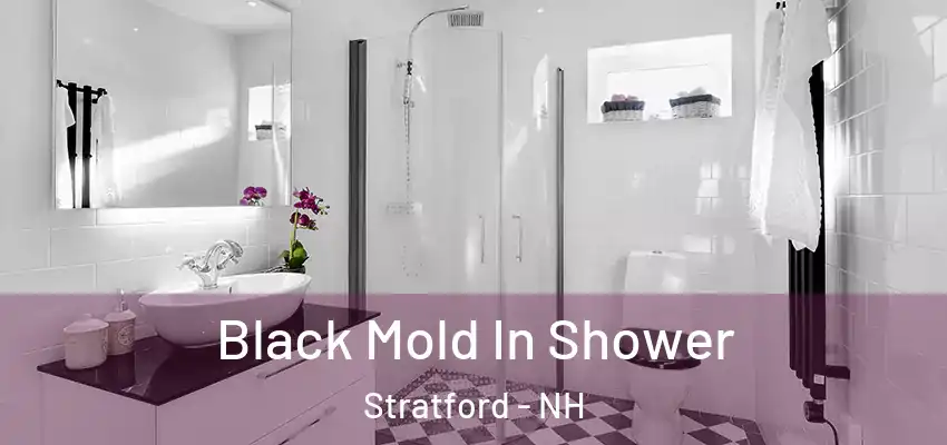  Black Mold In Shower Stratford - NH
