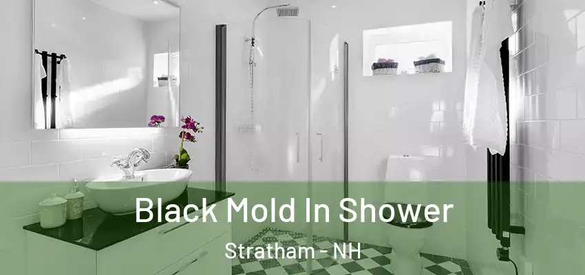 Black Mold In Shower Stratham - NH