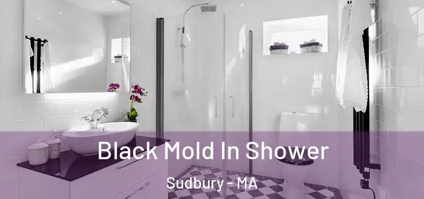  Black Mold In Shower Sudbury - MA