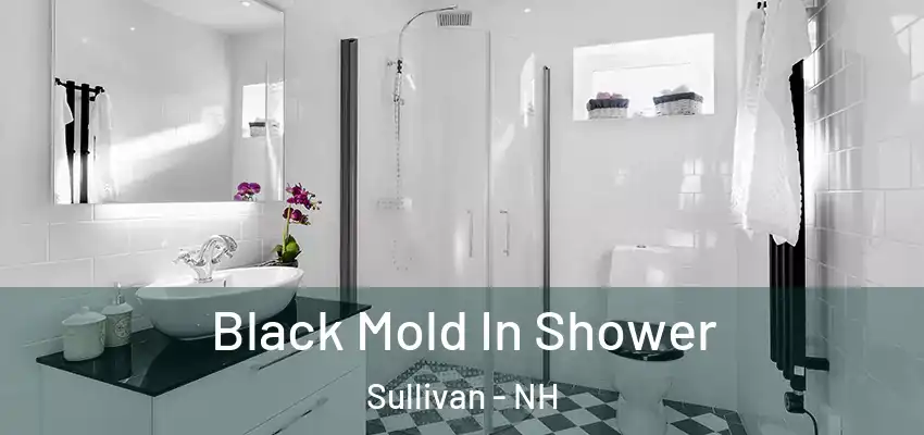  Black Mold In Shower Sullivan - NH