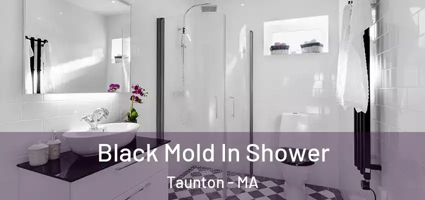  Black Mold In Shower Taunton - MA