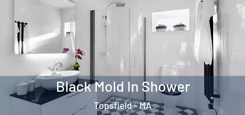  Black Mold In Shower Topsfield - MA