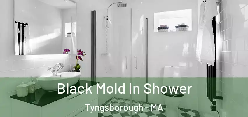  Black Mold In Shower Tyngsborough - MA