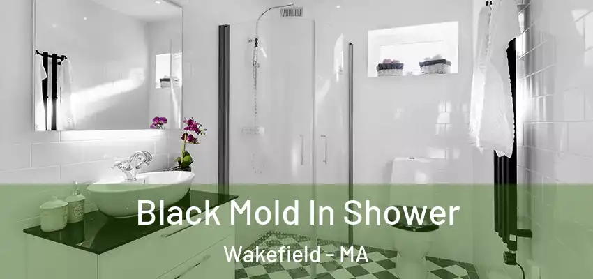  Black Mold In Shower Wakefield - MA