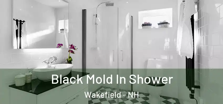  Black Mold In Shower Wakefield - NH