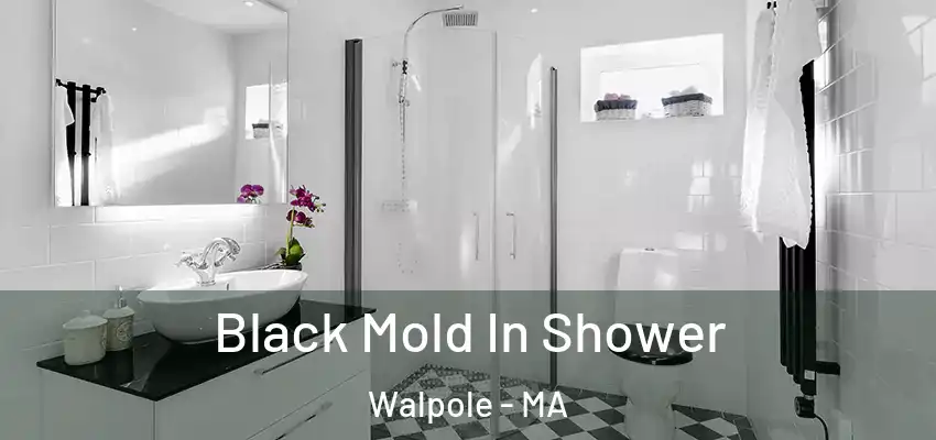  Black Mold In Shower Walpole - MA