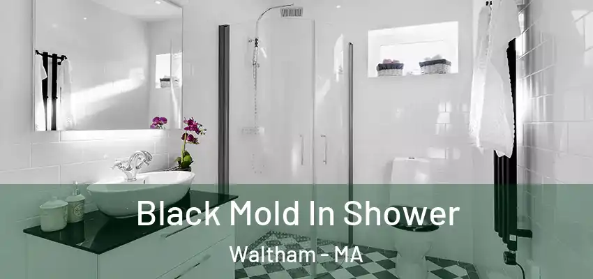  Black Mold In Shower Waltham - MA