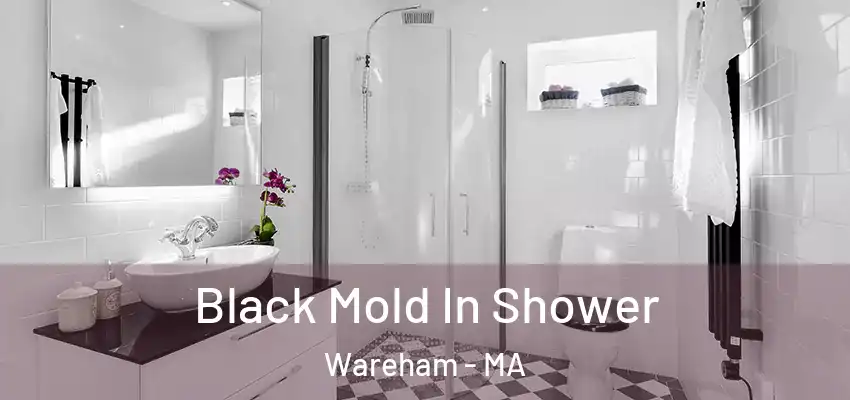 Black Mold In Shower Wareham - MA