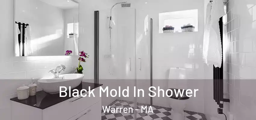  Black Mold In Shower Warren - MA