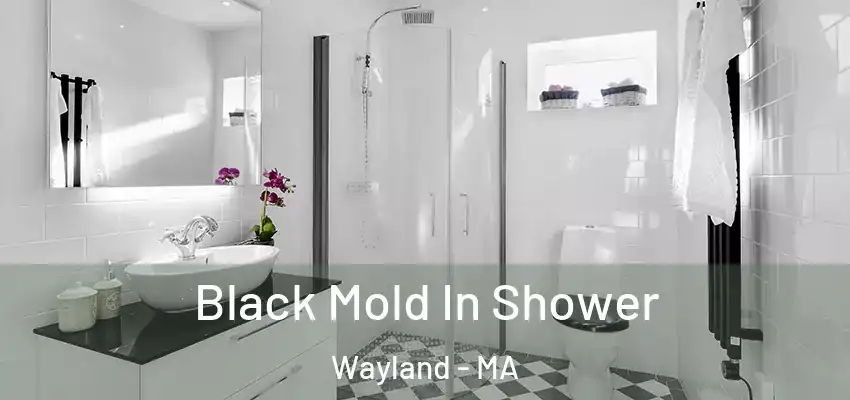  Black Mold In Shower Wayland - MA