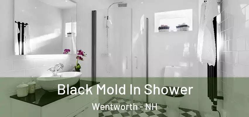  Black Mold In Shower Wentworth - NH