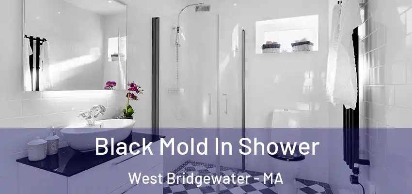  Black Mold In Shower West Bridgewater - MA