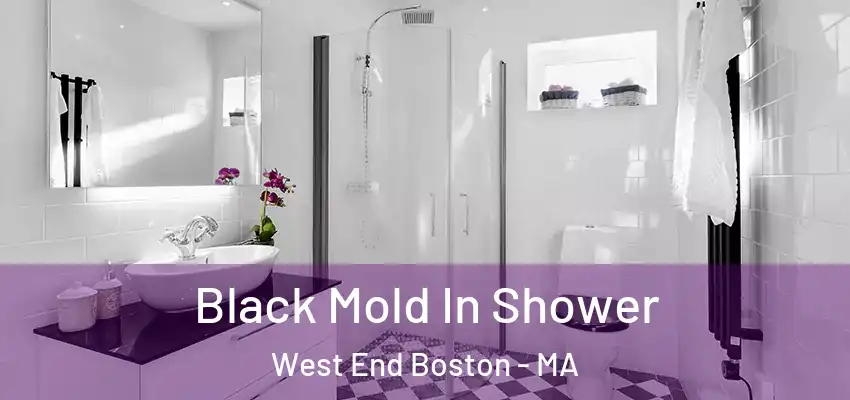  Black Mold In Shower West End Boston - MA