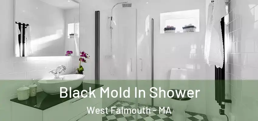 Black Mold In Shower West Falmouth - MA