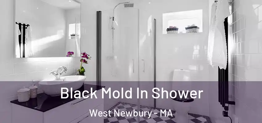 Black Mold In Shower West Newbury - MA