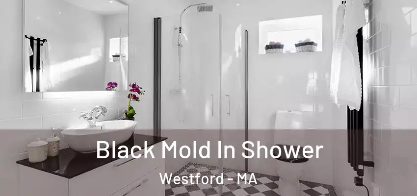  Black Mold In Shower Westford - MA