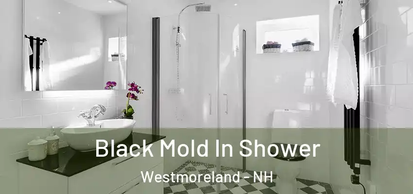  Black Mold In Shower Westmoreland - NH