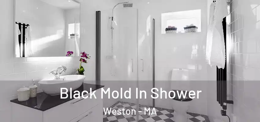  Black Mold In Shower Weston - MA