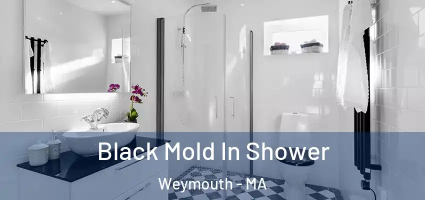 Black Mold In Shower Weymouth - MA