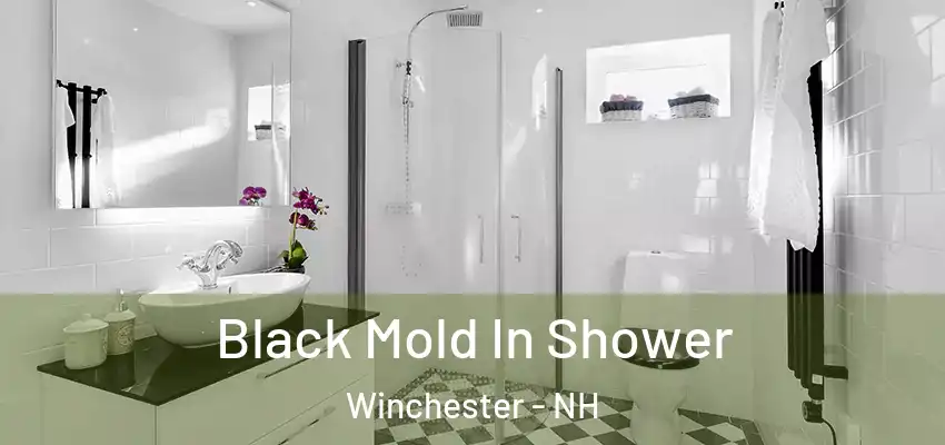  Black Mold In Shower Winchester - NH