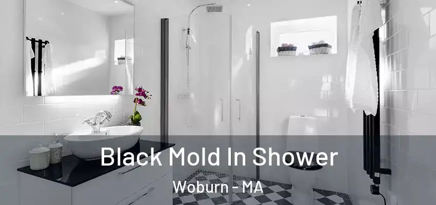  Black Mold In Shower Woburn - MA