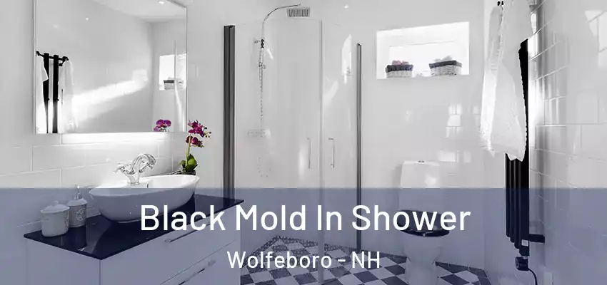 Black Mold In Shower Wolfeboro - NH