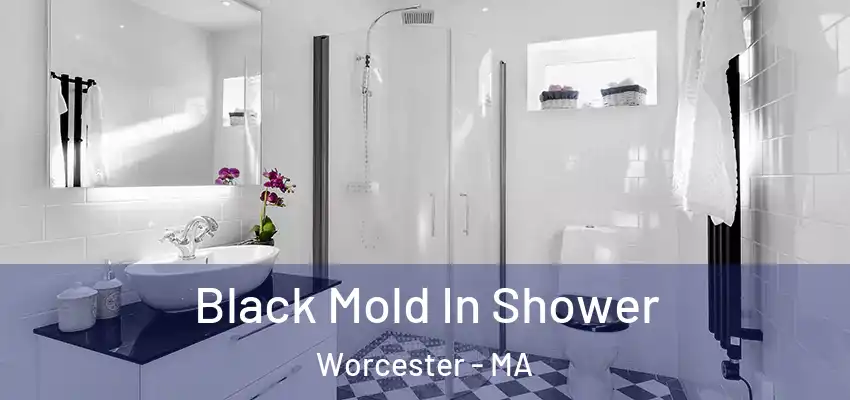 Black Mold In Shower Worcester - MA