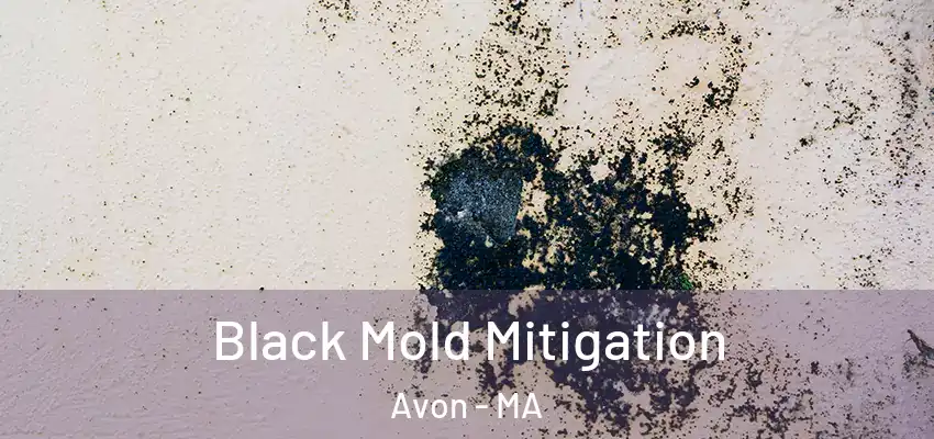 Black Mold Mitigation Avon - MA