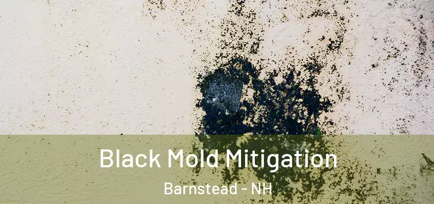 Black Mold Mitigation Barnstead - NH