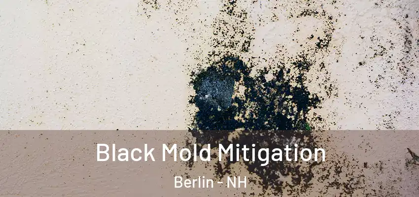 Black Mold Mitigation Berlin - NH