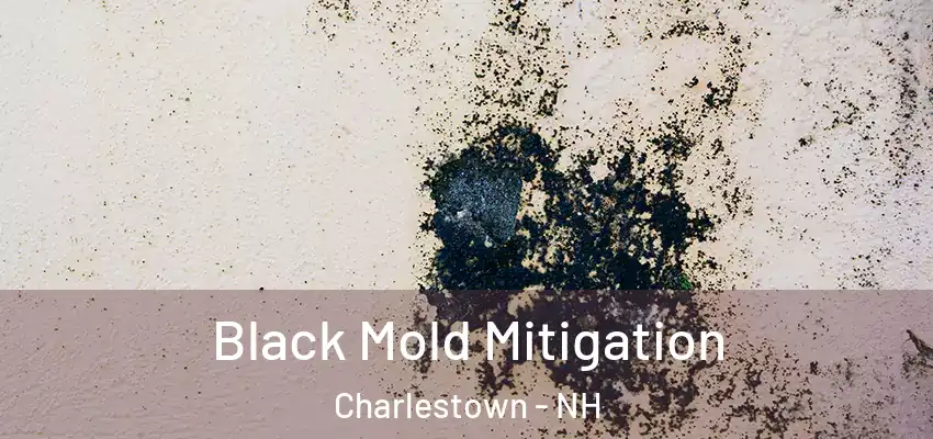 Black Mold Mitigation Charlestown - NH