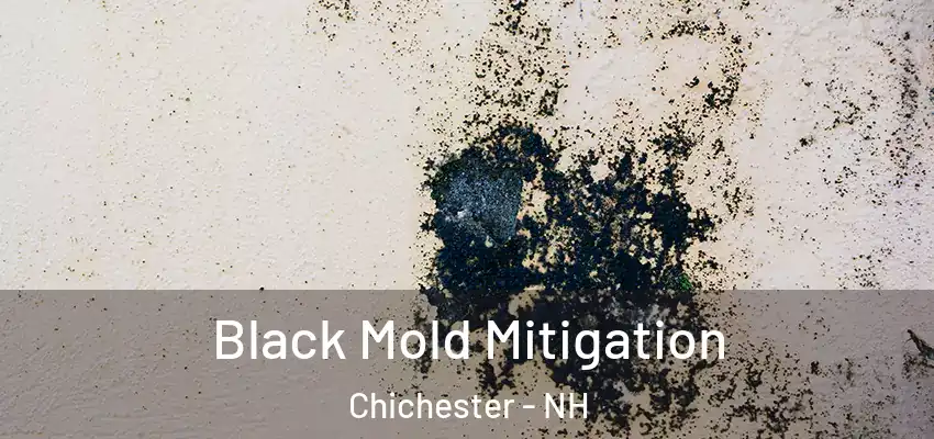 Black Mold Mitigation Chichester - NH