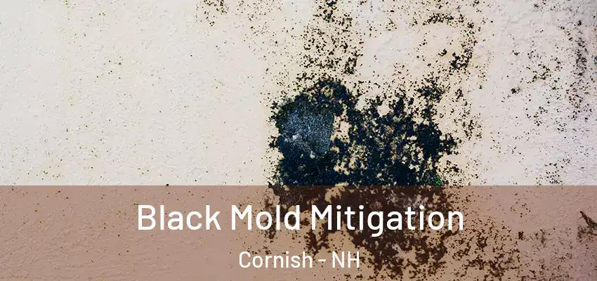 Black Mold Mitigation Cornish - NH