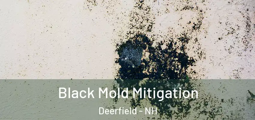 Black Mold Mitigation Deerfield - NH
