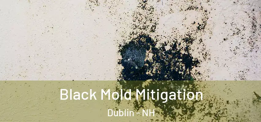 Black Mold Mitigation Dublin - NH