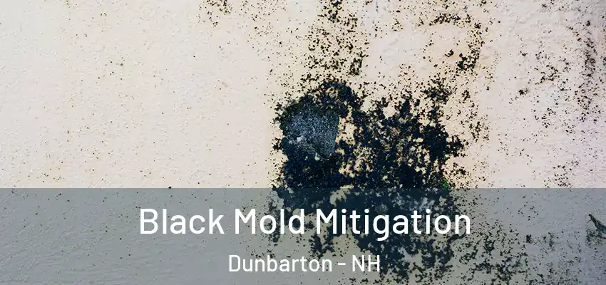 Black Mold Mitigation Dunbarton - NH