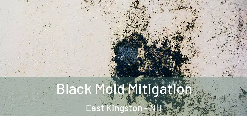  Black Mold Mitigation East Kingston - NH