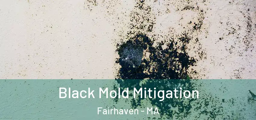 Black Mold Mitigation Fairhaven - MA