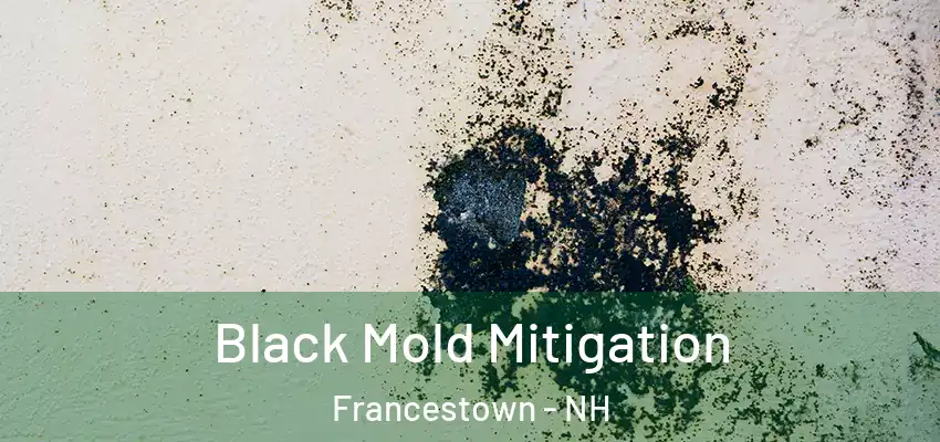  Black Mold Mitigation Francestown - NH