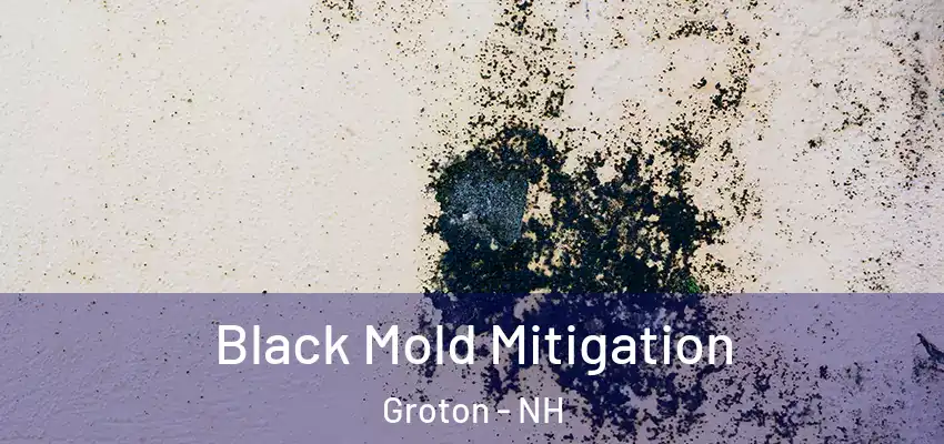  Black Mold Mitigation Groton - NH
