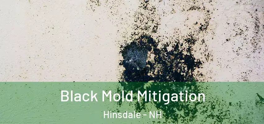  Black Mold Mitigation Hinsdale - NH