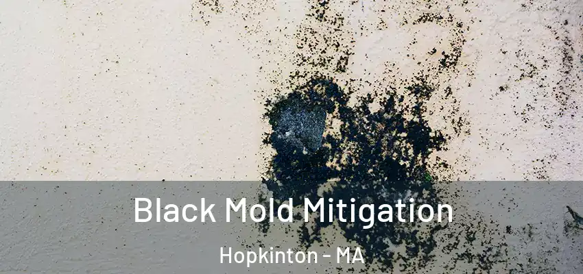  Black Mold Mitigation Hopkinton - MA