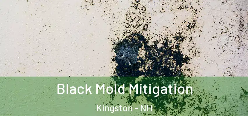 Black Mold Mitigation Kingston - NH