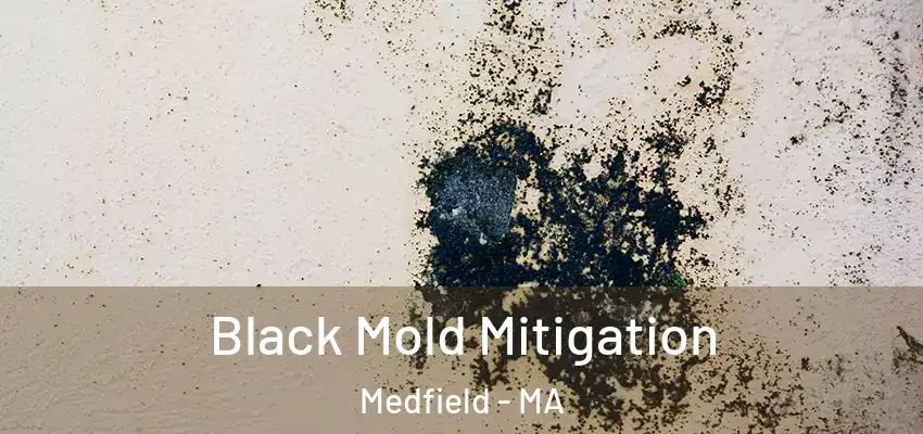 Black Mold Mitigation Medfield - MA