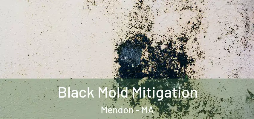 Black Mold Mitigation Mendon - MA