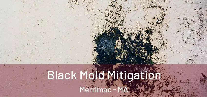  Black Mold Mitigation Merrimac - MA