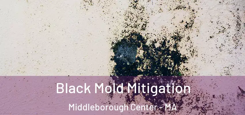 Black Mold Mitigation Middleborough Center - MA
