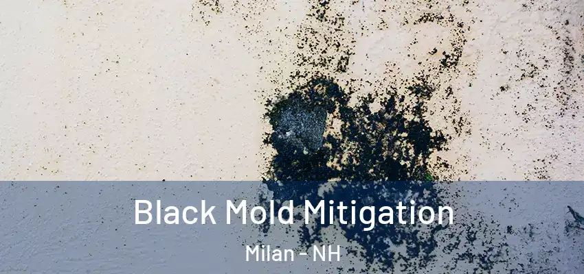 Black Mold Mitigation Milan - NH