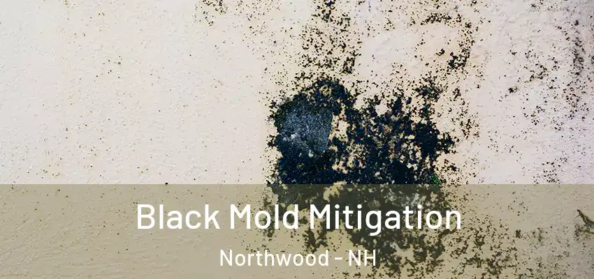  Black Mold Mitigation Northwood - NH