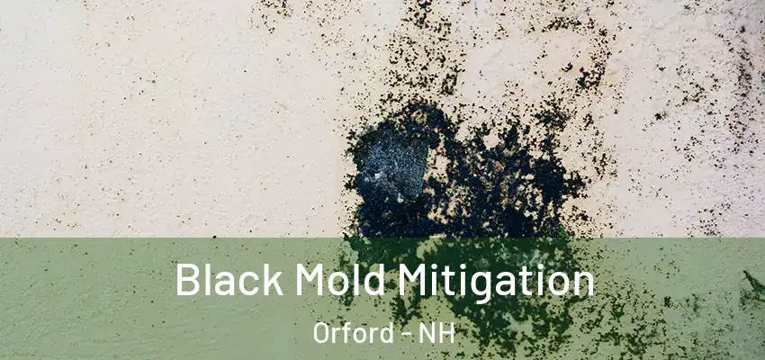 Black Mold Mitigation Orford - NH